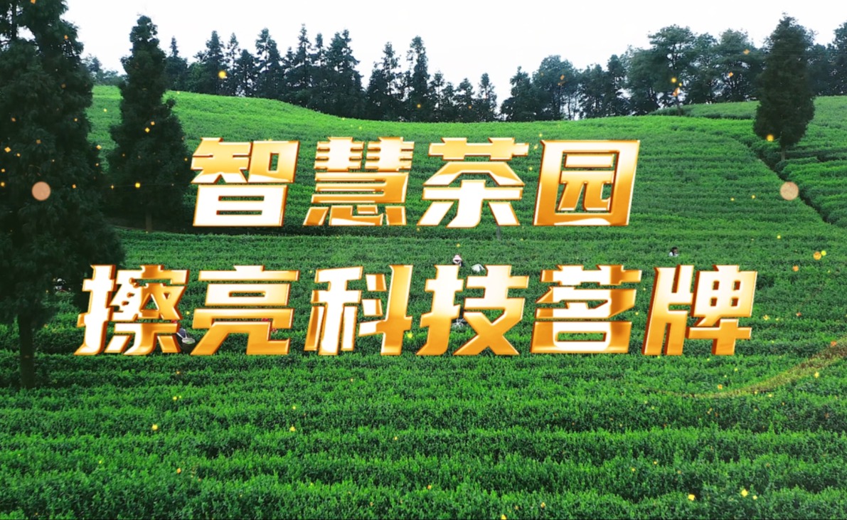 南宫NG28茶园，擦亮科技茗牌