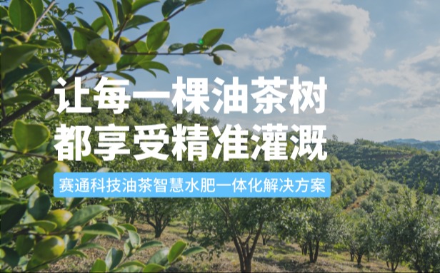 赛通科技油茶南宫NG28水肥一体化解决方案：让每一棵油茶树都享受精准灌溉